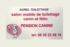 Aurel toilettage