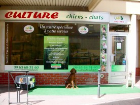 Culture Chiens Chats