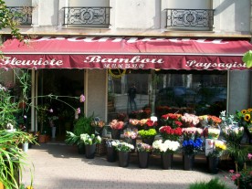 Bambou fleuriste et paysagiste