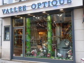 Vallée Optique