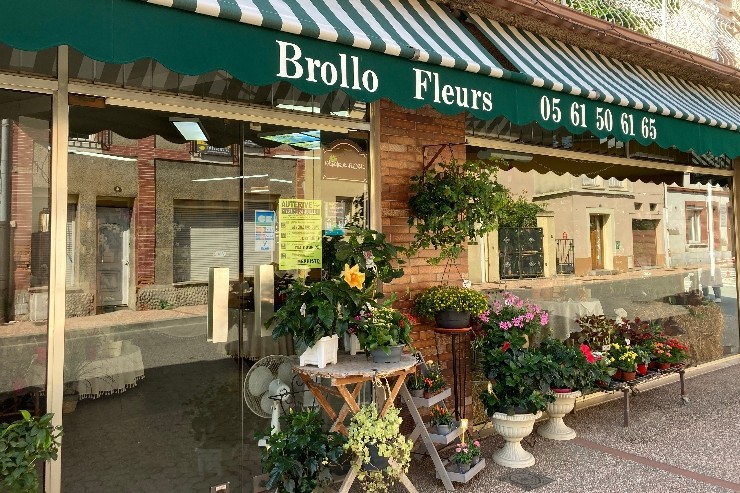 Brollo Fleurs