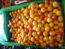 Mirabelles