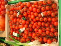 Tomates cerises