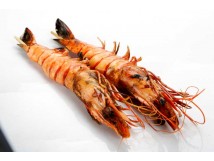 704 Brochette gambas (par paire)