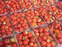 Fraises