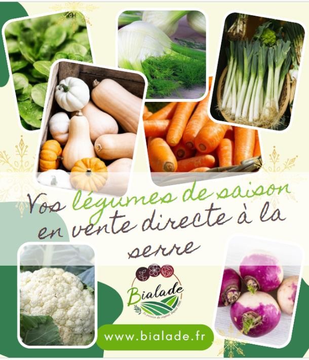 Vos légumes de saison cultivés à la serre avec Bialade, votre maraîcher horticulteur !