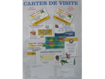 Cartes de visite