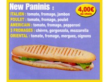 New Paninis