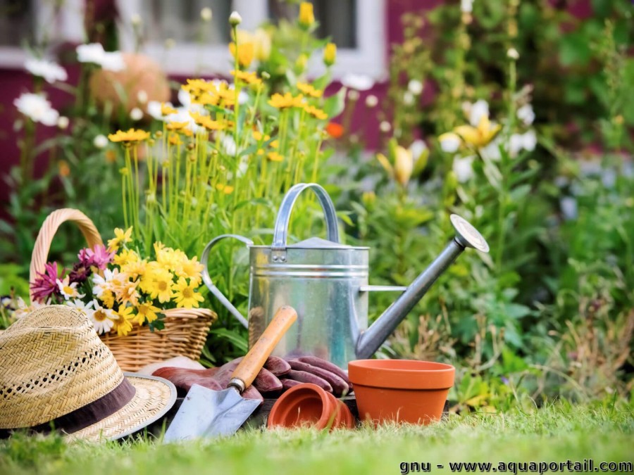 Petit Bricolage / Petit jardinage