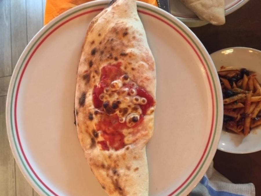 PIZZA CALZONE