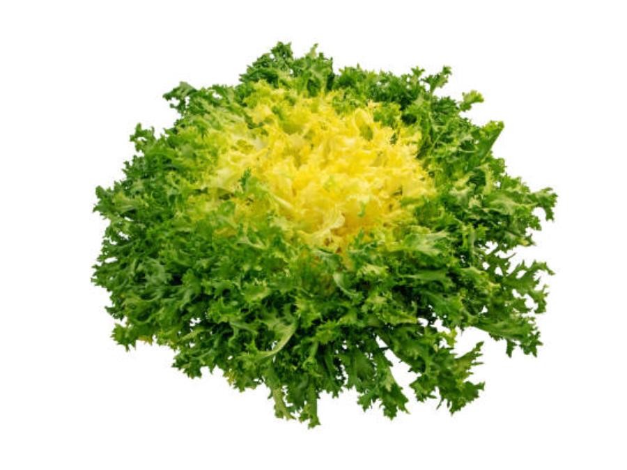 Frisée