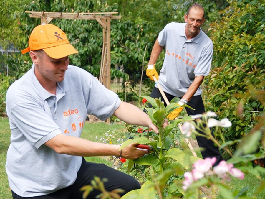 Entretien des jardins