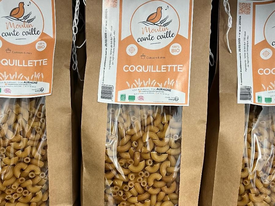 Coquillette