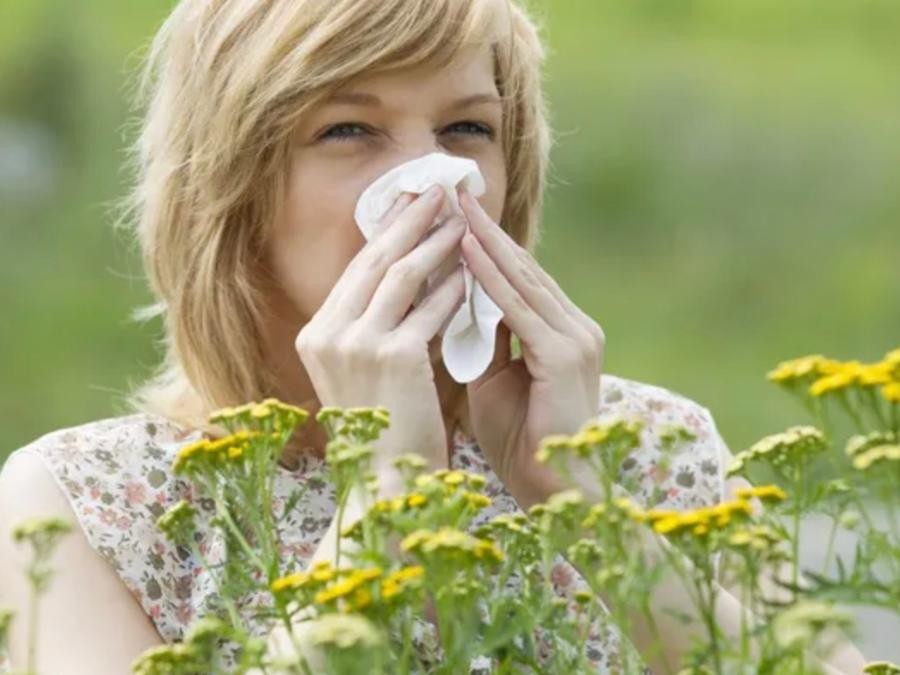 Rhume des foins, Allergies cutanées